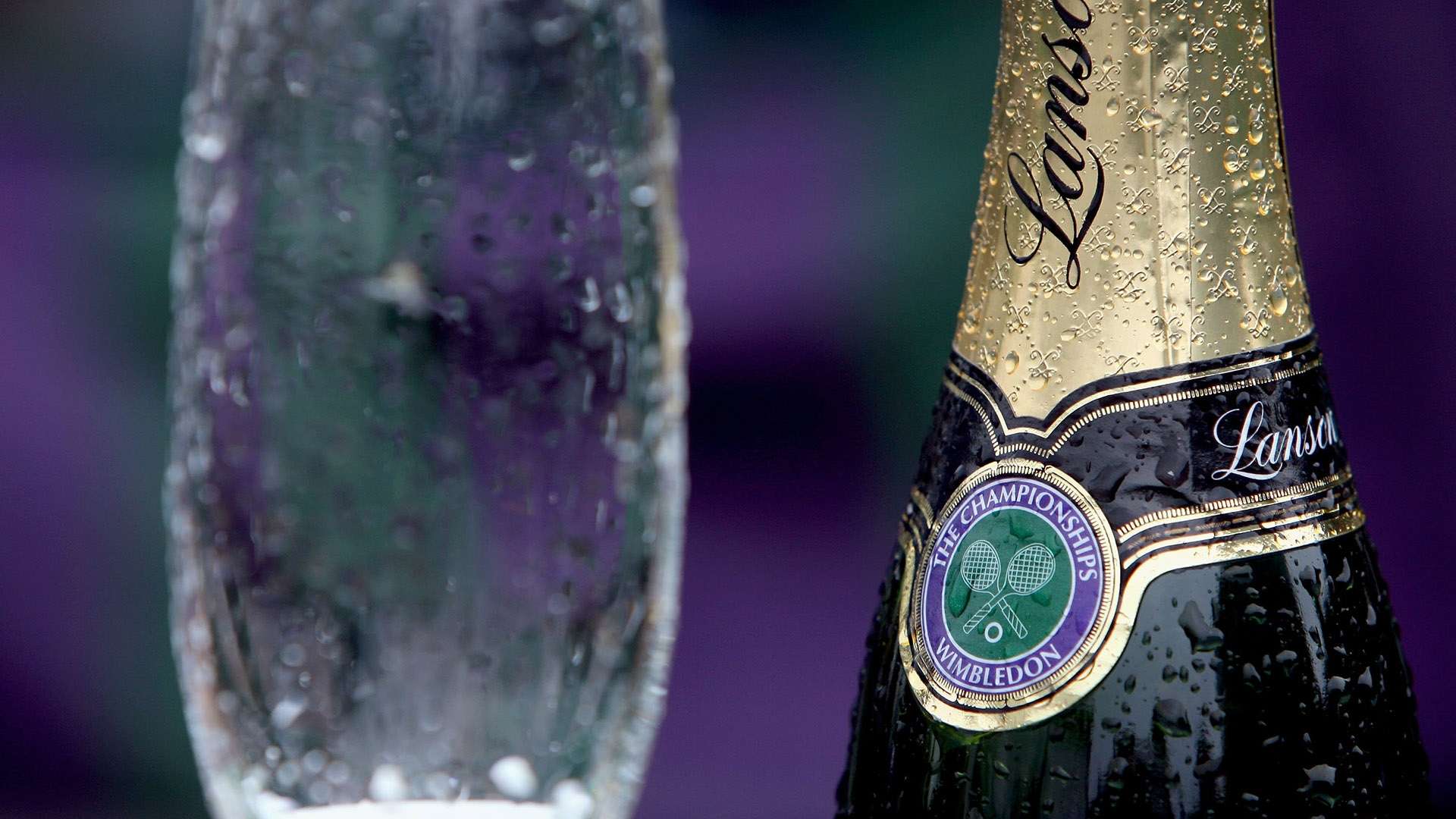 勇于追梦的 勇于追梦的